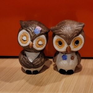 Brown and White Owl Salt & Pepper Set